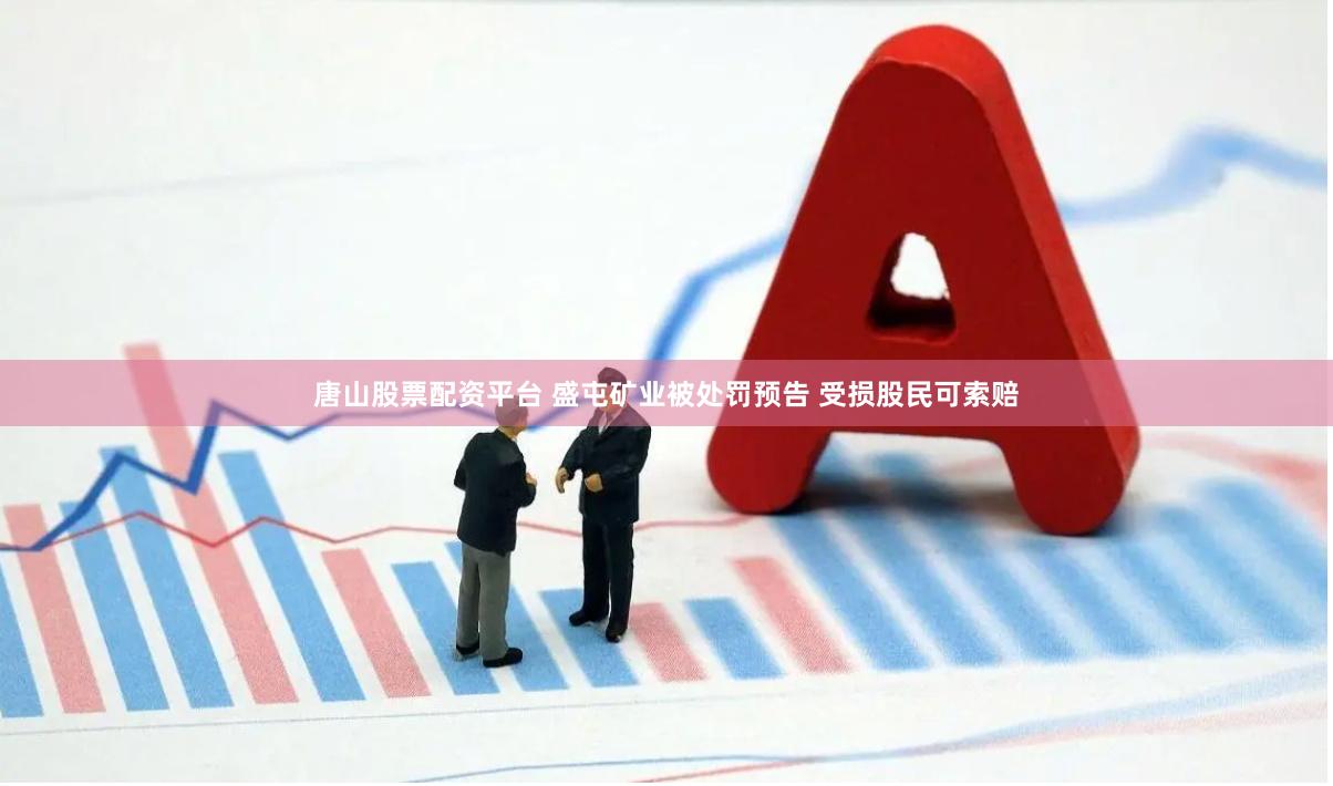 唐山股票配资平台 盛屯矿业被处罚预告 受损股民可索赔