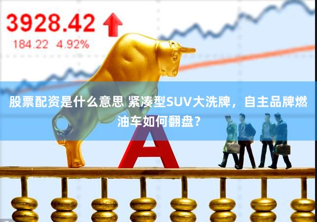 股票配资是什么意思 紧凑型SUV大洗牌，自主品牌燃油车如何翻盘？