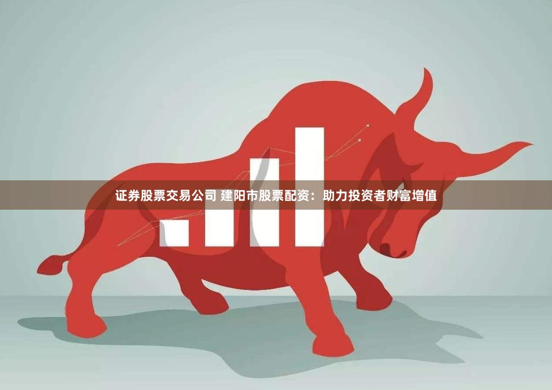 证券股票交易公司 建阳市股票配资：助力投资者财富增值