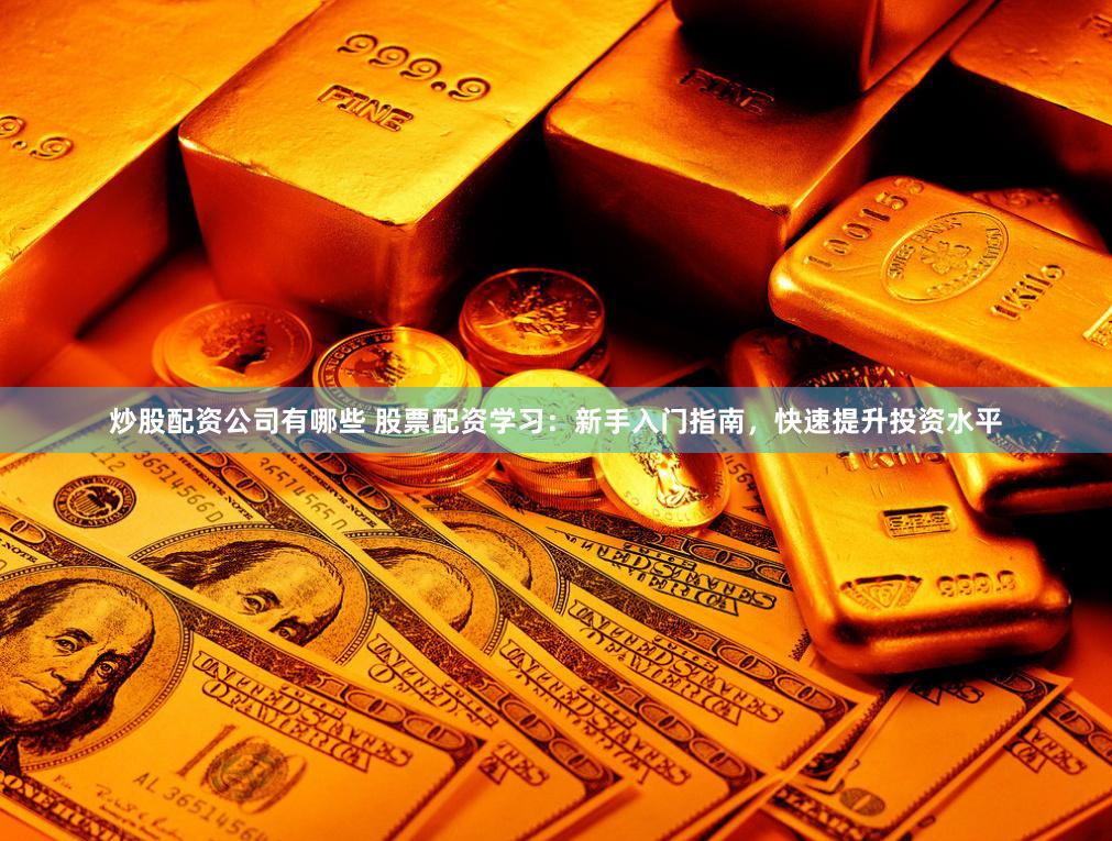 炒股配资公司有哪些 股票配资学习：新手入门指南，快速提升投资水平