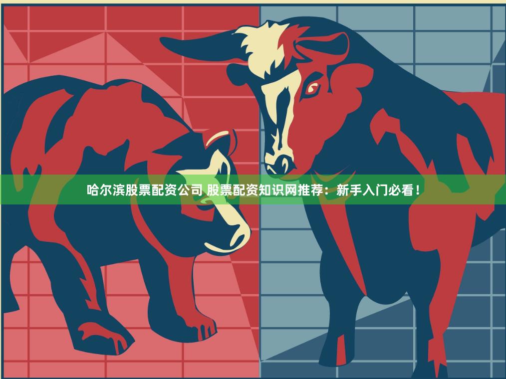 哈尔滨股票配资公司 股票配资知识网推荐：新手入门必看！